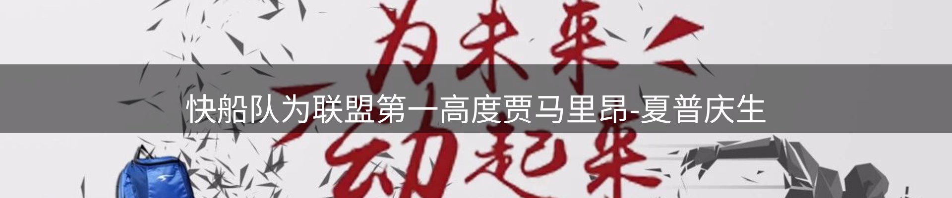 公司导读